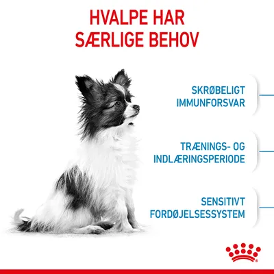 Hvalpe har særlige behov: skrøbeligt immunforsvar, trænings- og indlæringsperiode, sensitivt fordøjelsessystem. Royal Canin symbol nederst.