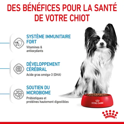 Des bénéfices pour la santé du chiot : système immunitaire fort (vitamines et antioxydants), développement cérébral (acide gras oméga-3 DHA), soutien du microbiome (prébiotiques, protéines digestibles).