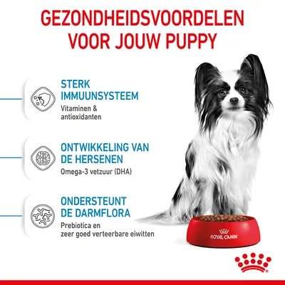 Gezondheidsvoordelen voor jouw puppy: sterk immuunsysteem (vitaminen & antioxidanten), ontwikkeling van de hersenen (Omega-3 vetzuur DHA), ondersteunt de darmflora (prebiotica, eiwitten).