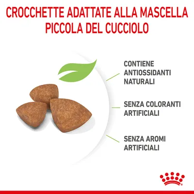Crocchette adattate alla mascella piccola del cucciolo. Contiene antiossidanti naturali, senza coloranti artificiali, senza aromi artificiali.