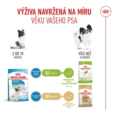 Grafika ukazuje doporučení krmiva od Royal Canin pro malé psy: Puppy do 10 měsíců, poté Adult XS nebo Chihuahua od 10 měsíců. Viditelné jsou věkové údaje a vyobrazení produktů. Grafika ukazuje doporučení krmiva od Royal Canin pro malé psy: Puppy do 10 měsíců, poté Adult XS nebo Chihuahua od 10 měsíců. Viditelné jsou věkové údaje a vyobrazení produktů.