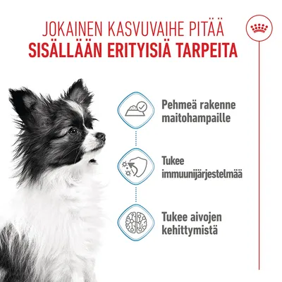Royal Canin X-Small Puppy kastikkeessa Royal Canin X-Small Puppy kastikkeessa