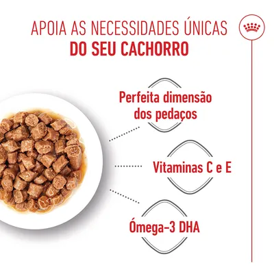 Royal Canin X-Small Puppy em molho