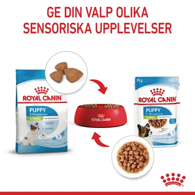 Royal Canin Puppy X-Small 2–10 månader, torrfoder och våtfoder, båda med synliga bitar. Text: Ge din valp olika sensoriska upplevelser.