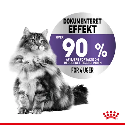 Royal Canin Appetite Control Care
