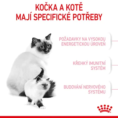 Kočka a kotě. Text: Kočka a kotě mají specifické potřeby. Požadavky na vysokou energetickou úroveň, křehký imunitní systém, budování nervového systému.