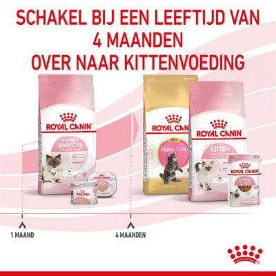 Schakel bij een leeftijd van 4 maanden over naar kittenvoeding. Royal Canin Mother & Babycat tot 4 maanden, daarna Royal Canin Kitten en Maine Coon Kitten. 1 maand, 4 maanden.