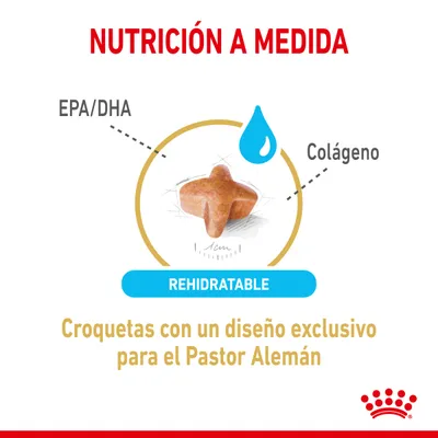 Croquetas rehidratables con diseño exclusivo para el Pastor Alemán, indicadas con EPA/DHA y colágeno. Texto: Nutrición a medida. Marca Royal Canin visible.