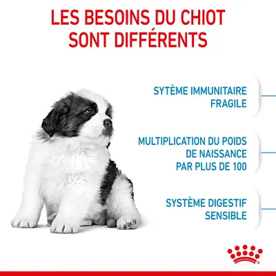 Les besoins du chiot sont différents : système immunitaire fragile, multiplication du poids de naissance par plus de 100, système digestif sensible. Marque Royal Canin visible.