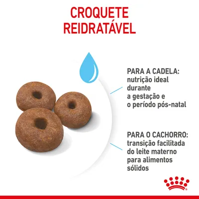 Croquete reidratável. Para a cadela: nutrição ideal durante a gestação e o período pós-natal. Para o cachorro: transição facilitada do leite materno para alimentos sólidos.