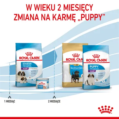 Instrukcja zmiany karmy Royal Canin: od 1 miesiąca Starter Giant, od 2 miesięcy Puppy Rottweiler lub Puppy Giant. Napis: W wieku 2 miesięcy zmiana na karmę „Puppy”. Instrukcja zmiany karmy Royal Canin: od 1 miesiąca Starter Giant, od 2 miesięcy Puppy Rottweiler lub Puppy Giant. Napis: W wieku 2 miesięcy zmiana na karmę „Puppy”.
