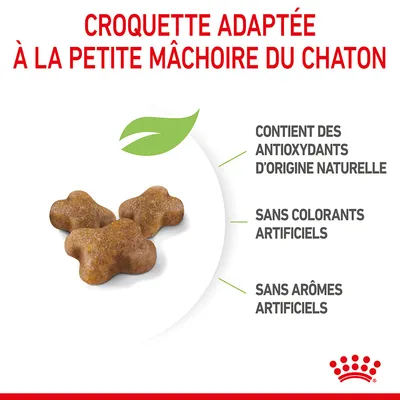 Croquette adaptée à la petite mâchoire du chaton, contient des antioxydants d’origine naturelle, sans colorants ni arômes artificiels. Trois croquettes visibles.