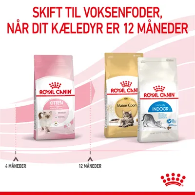 Skift til voksenfoder, når dit kæledyr er 12 måneder. Royal Canin Kitten op til 12 mdr., derefter Royal Canin Maine Coon eller Home Life Indoor fra 12 måneder.