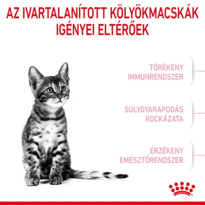 Az ivartalanított kölyökmacskák igényei eltérőek. Törékeny immunrendszer, súlygyarapodás kockázata, érzékeny emésztőrendszer. Royal Canin márkajelzés.