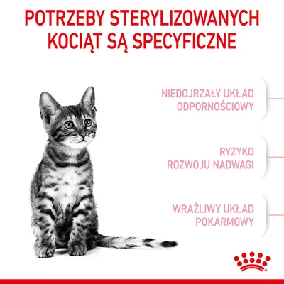 Potrzeby sterylizowanych kociąt są specyficzne: niedojrzały układ odpornościowy, ryzyko rozwoju nadwagi, wrażliwy układ pokarmowy.