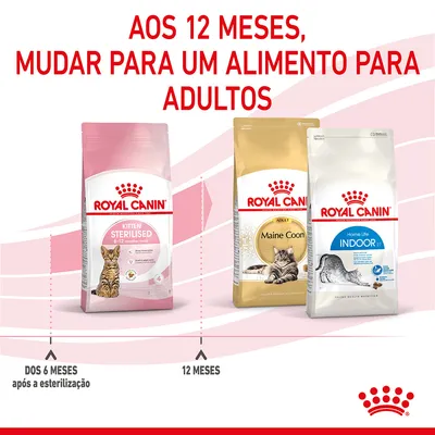 Aos 12 meses, mudar para um alimento para adultos. Royal Canin Kitten Sterilised 6–12 months, Maine Coon Adult e Home Life Indoor 27. Dos 6 meses após a esterilização, 12 meses.