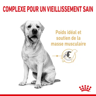 Texte : Complexe pour un vieillissement sain. Poids idéal et soutien de la masse musculaire. Illustration d’un chien avec icône muscle. Marque Royal Canin visible.