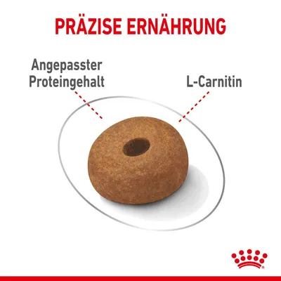 Texte en allemand : PRÄZISE ERNÄHRUNG, Angepasster Proteingehalt, L-Carnitin. Croquette ronde avec trou au centre, logo Royal Canin visible.