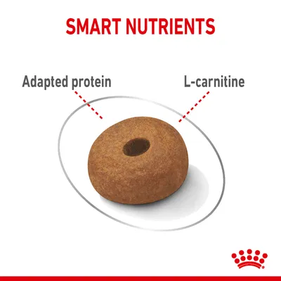 Kibble piece with highlighted features: adapted protein and L-carnitine, under the heading 'Smart Nutrients'.