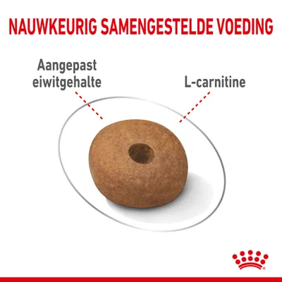 Nauwkeurig samengestelde voeding. Aangepast eiwitgehalte, L-carnitine. Afbeelding van een brok met aanduidingen van deze eigenschappen.