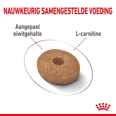 Nauwkeurig samengestelde voeding. Aangepast eiwitgehalte en L-carnitine gemarkeerd bij een brok, Royal Canin kroon zichtbaar onderaan.