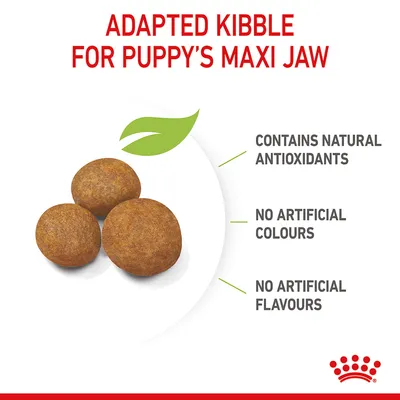 Adapted kibble for puppy’s maxi jaw. Contains natural antioxidants, no artificial colours, no artificial flavours.