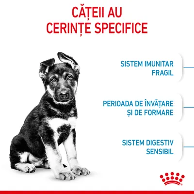 Cățeii au cerințe specifice: sistem imunitar fragil, perioadă de învățare și de formare, sistem digestiv sensibil. Royal Canin.