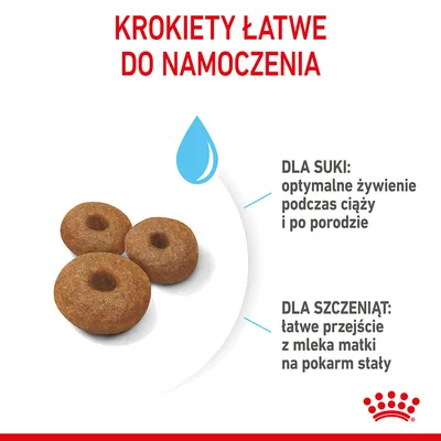 KROKIETY ŁATWE DO NAMOCZENIA. Dla suki: optymalne żywienie podczas ciąży i po porodzie. Dla szczeniąt: łatwe przejście z mleka matki na pokarm stały. Trzy krokiety, logo Royal Canin.
