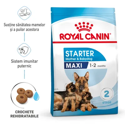Pachet hrană uscată Royal Canin Starter Mother & Babydog Maxi 1–2 months, imagine cu cățea și pui, text: Susține sănătatea mamelor și a puilor acestora, Sistem imunitar puternic, Crochete rehidratabile.