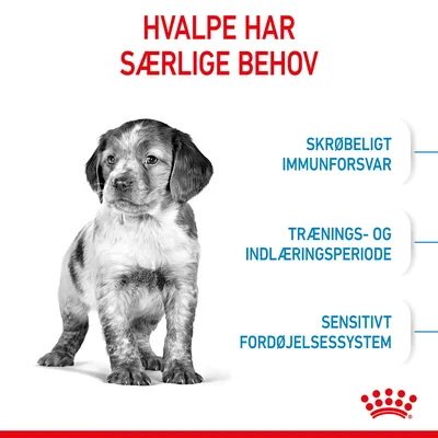 Hvalpe har særlige behov: skrøbeligt immunforsvar, trænings- og indlæringsperiode, sensitivt fordøjelsessystem. Royal Canin symbol nederst.