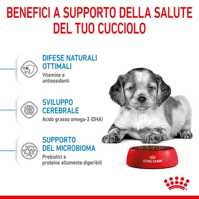 Benefici a supporto della salute del cucciolo: difese naturali ottimali con vitamine e antiossidanti, sviluppo cerebrale con omega-3 (DHA), supporto del microbioma con prebiotici e proteine digeribili.