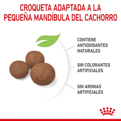 Croqueta adaptada a la pequeña mandíbula del cachorro. Contiene antioxidantes naturales, sin colorantes artificiales, sin aromas artificiales. Imagen de tres croquetas marrones.
