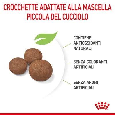 Crocchette adattate alla mascella piccola del cucciolo, contiene antiossidanti naturali, senza coloranti artificiali, senza aromi artificiali.