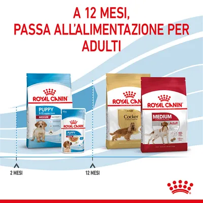 A 12 mesi, passa all’alimentazione per adulti. Royal Canin Puppy 2–12 mesi a sinistra, Royal Canin Adult Cocker e Medium Adult a destra. Indicazioni: 2 mesi, 12 mesi.