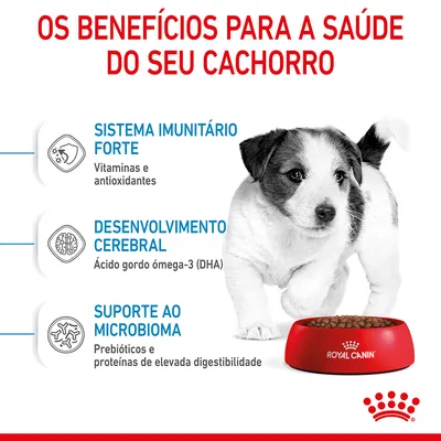 Os benefícios para a saúde do seu cachorro: sistema imunitário forte, desenvolvimento cerebral e suporte ao microbioma. Royal Canin. Vitaminas, antioxidantes, ómega-3, prebióticos.