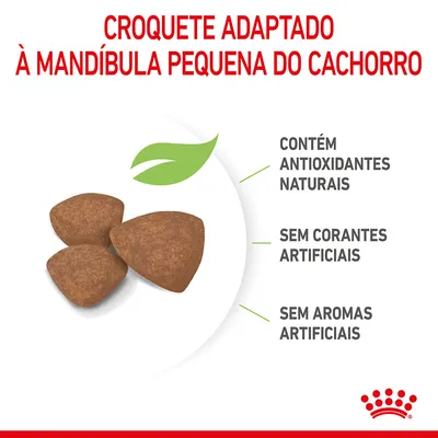 Croquete adaptado à mandíbula pequena do cachorro. Contém antioxidantes naturais, sem corantes artificiais, sem aromas artificiais. Três croquetes visíveis.