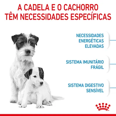 Texto: A cadela e o cachorro têm necessidades específicas. Necessidades energéticas elevadas, sistema imunitário frágil, sistema digestivo sensível. Marca Royal Canin visível.