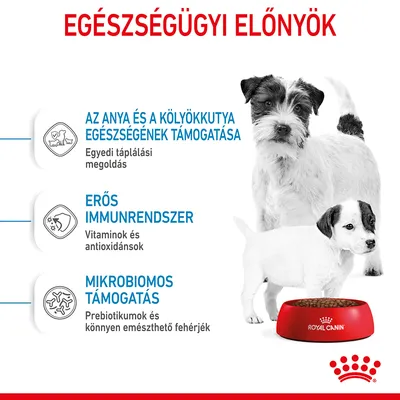 Egészségügyi előnyök: az anya és kölyökkutya egészségének támogatása, erős immunrendszer, mikrobiomos támogatás. Royal Canin tál kutyatáppal, két kutya képe.