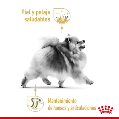 Perro de raza pequeña con textos: 'Piel y pelaje saludables' y 'Mantenimiento de huesos y articulaciones', junto a iconos ilustrativos. Logotipo de Royal Canin en la esquina inferior derecha.