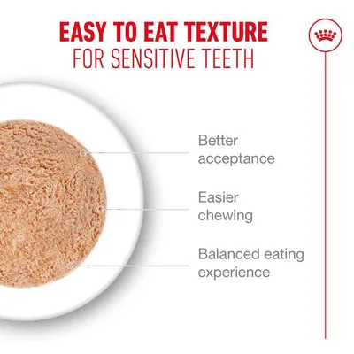 Royal Canin Ageing 15+ Mousse