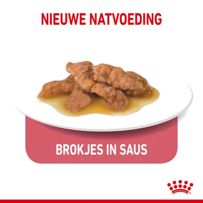 Nieuwe natvoeding, brokjes in saus op een wit bord. Tekst: 'BROKJES IN SAUS'. Royal Canin kroonlogo zichtbaar rechtsonder.