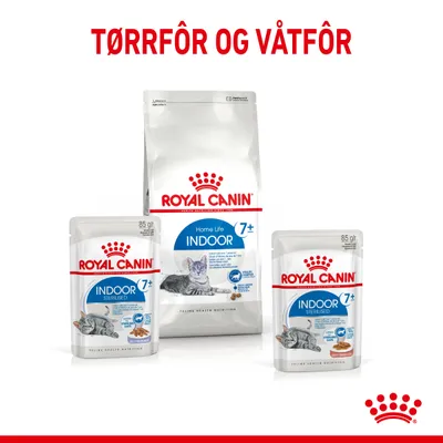 Royal Canin Indoor Sterilised 7+ i gelè