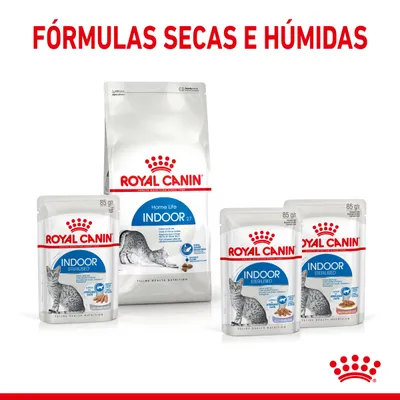 Royal Canin Indoor e Indoor Sterilised para gatos, fórmulas secas e húmidas visíveis em embalagens de 85 g e saco grande. Texto: FÓRMULAS SECAS E HÚMIDAS.