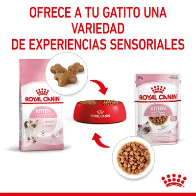 ROYAL CANIN KITTEN up to 12 months, pienso seco en bolsa y comida húmeda en sobre de 85 g para gatitos, cuenco rojo con alimento, texto: Ofrece a tu gatito una variedad de experiencias sensoriales.