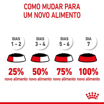 Como mudar para um novo alimento: dias 1–2, 25 % novo alimento; dias 3–4, 50 %; dias 5–6, 75 %; dia 7, 100 %. Texto e ilustrações de taças com proporção de alimento.