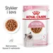 Royal Canin Kitten i sauce