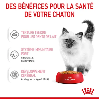 Des bénéfices pour la santé de votre chaton : texture tendre pour les dents de lait, système immunitaire fort (vitamines et antioxydants), développement cérébral (oméga-3 DHA). Royal Canin.