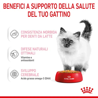 Benefici a supporto della salute del gattino: consistenza morbida per denti da latte, difese naturali ottimali con vitamine e antiossidanti, sviluppo cerebrale con DHA. Royal Canin.