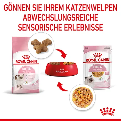 Royal Canin Kitten bis 12 Monate. Abwechslungsreiche sensorische Erlebnisse mit Trockenfutter, Nassfutter und Snacks für Katzenwelpen.