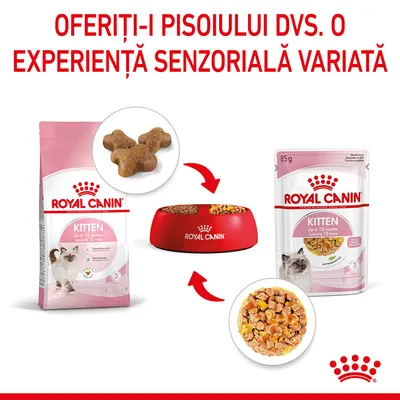 Royal Canin Kitten uscat și plic umed pentru pisoi până la 12 luni, bol roșu Royal Canin, text: Oferiți-i pisoilui dvs. o experiență senzorială variată.